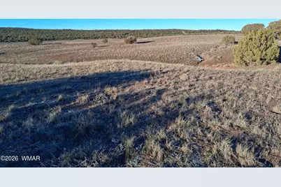 92 County Road 8223 Road, Concho, AZ 85924 - Photo 3