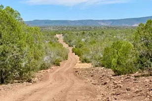 0 Stagecoach Dr 47 Acres, Ash Fork, AZ 86320 - Photo 1