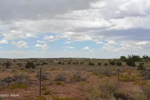 8895 Hansa Trail, Snowflake, AZ 85937 - Photo 1
