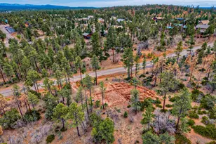 7384 Carina Ln, Lakeside, AZ 85929 - Photo 13