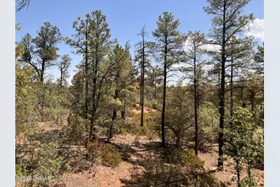 7384 Carina Lane, Lakeside, AZ 85929 - Photo 3