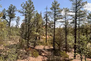 7384 Carina Ln, Lakeside, AZ 85929 - Photo 3