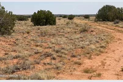 Lot 562 Chevelon Canyon Ranch Drive, Unit 4 #4, Heber, AZ 85928 - Photo 1