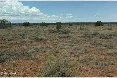 Lot 562 Chevelon Canyon Ranch Drive, Unit 4 #4, Heber, AZ 85928 - Photo 13