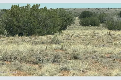 Lot 562 Chevelon Canyon Ranch Drive, Unit 4 #4, Heber, AZ 85928 - Photo 37