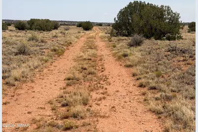 Lot 562 Chevelon Canyon Ranch Drive, Unit 4 #4, Heber, AZ 85928 - Photo 9