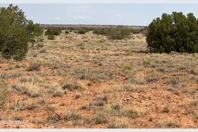 Lot 562 Chevelon Canyon Ranch Drive, Unit 4 #4, Heber, AZ 85928 - Photo 33