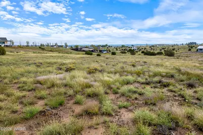 1191 W Pinedale Road, Taylor, AZ 85939 - Photo 21