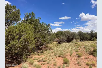 4289 Colt Road, Snowflake, AZ 85937 - Photo 5