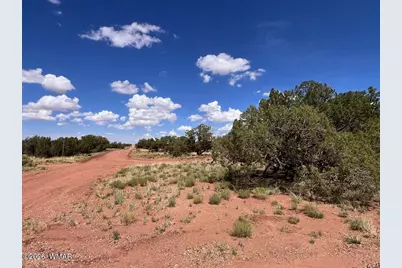 4289 Colt Road, Snowflake, AZ 85937 - Photo 9