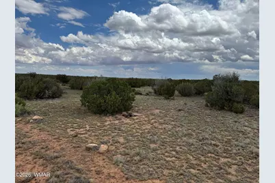 8 County Road 8080, Concho, AZ 85924 - Photo 3