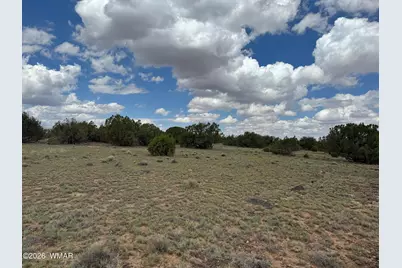 8 County Road 8080, Concho, AZ 85924 - Photo 7