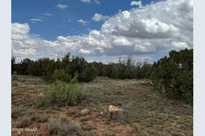 8 County Road 8080, Concho, AZ 85924 - Photo 5