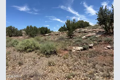 442 W Rodeo Road, Snowflake, AZ 85937 - Photo 37