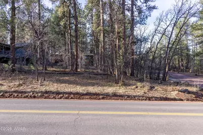 3795 Mogollon Vista Drive, Pinetop, AZ 85935 - Photo 3