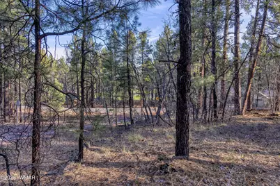 3795 Mogollon Vista Drive, Pinetop, AZ 85935 - Photo 9