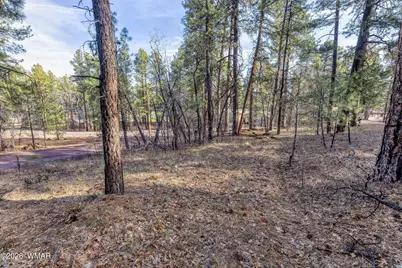 3795 Mogollon Vista Drive, Pinetop, AZ 85935 - Photo 7