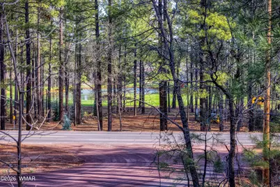 3795 Mogollon Vista Drive, Pinetop, AZ 85935 - Photo 15