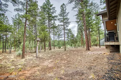 1421 S Wheatgrass Lane, Show Low, AZ 85901 - Photo 31