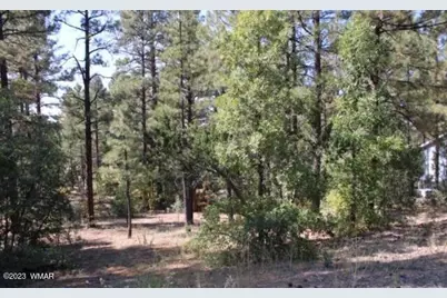 1160 S Cherokee Drive, Show Low, AZ 85901 - Photo 1
