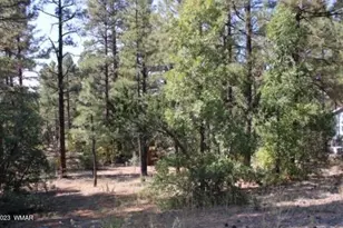 1160 S Cherokee Dr, Show Low, AZ 85901 - Photo 1