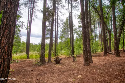 2478 Sunflower Drive, Pinetop, AZ 85935 - Photo 3