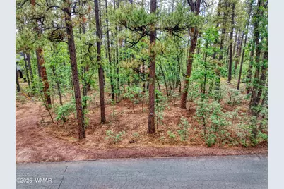 2478 Sunflower Drive, Pinetop, AZ 85935 - Photo 9