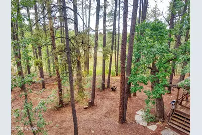 2478 Sunflower Drive, Pinetop, AZ 85935 - Photo 5