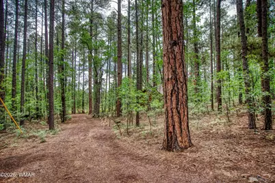 2478 Sunflower Drive, Pinetop, AZ 85935 - Photo 7