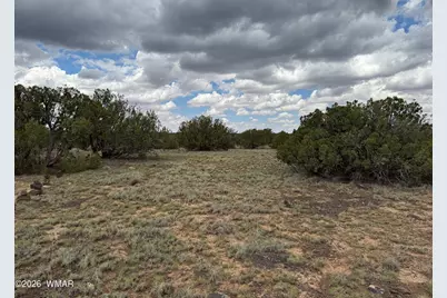 214 Cr 8051, Concho, AZ 85924 - Photo 1