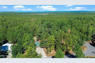 790 S Juniper Lane, Pinetop, AZ 85935 - Photo 77