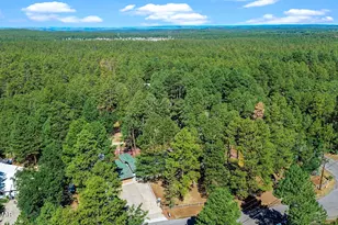 790 S Juniper Ln, Pinetop, AZ 85935 - Photo 77