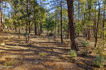 1400 E Pine Oaks Drive, Show Low, AZ 85901 - Photo 5