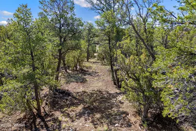 1794 Canyon Drive, Heber, AZ 85928 - Photo 15