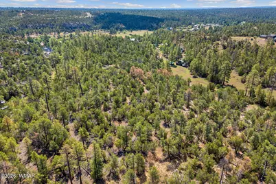 1794 Canyon Drive, Heber, AZ 85928 - Photo 9