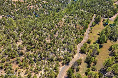 1794 Canyon Drive, Heber, AZ 85928 - Photo 7