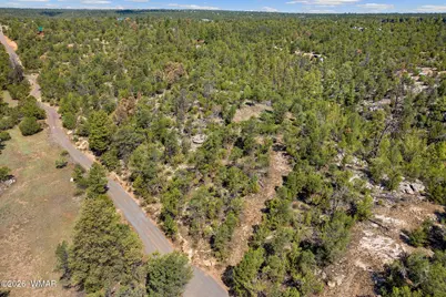 1794 Canyon Drive, Heber, AZ 85928 - Photo 11
