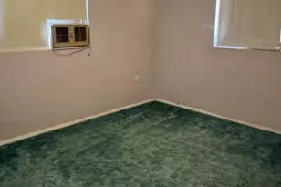 517 W Center St, Taylor, AZ 85939 - Photo 7