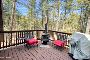 1442 Winter Pne Ln, Lakeside, AZ 85929 - Photo 19