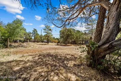 2961 Deer Trail, Overgaard, AZ 85933 - Photo 19