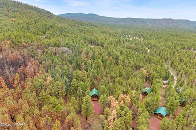 38918 State Route 373, Greer, AZ 85927 - Photo 29
