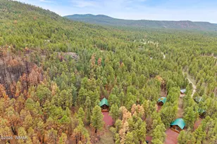 38918 State Route 373, Greer, AZ 85927 - Photo 29