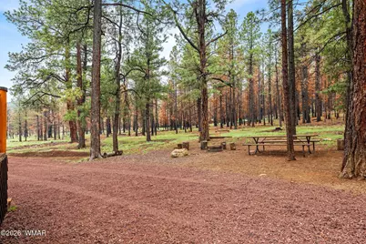 38918 State Route 373, Greer, AZ 85927 - Photo 25