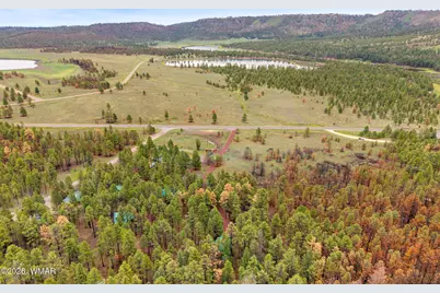 38918 State Route 373, Greer, AZ 85927 - Photo 31