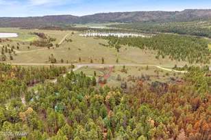 38918 State Route 373, Greer, AZ 85927 - Photo 31