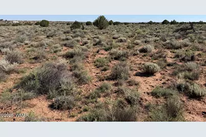 5335 White Antelope Road, Snowflake, AZ 85937 - Photo 1