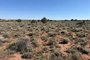 5335 White Antelope Road, Snowflake, AZ 85937 - Photo 1