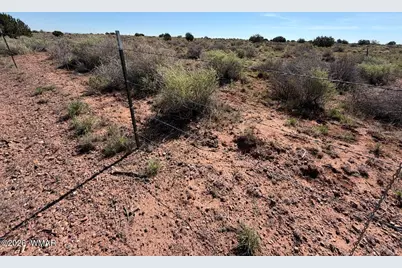 5335 White Antelope Road, Snowflake, AZ 85937 - Photo 3