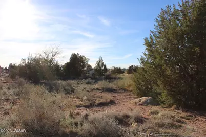 96 N Lyon Gate Drive, Snowflake, AZ 85937 - Photo 11
