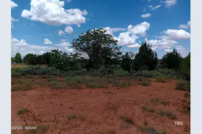 96 N Lyon Gate Drive, Snowflake, AZ 85937 - Photo 9